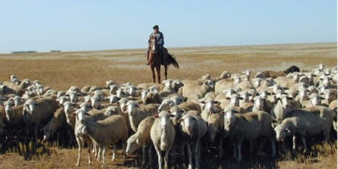 Біз мал баққан елміз...