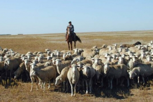 Біз мал баққан елміз...