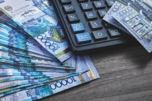Жұмыс істейтін аналардың әлеуметтік төлемдеріне қатысты фактілер мен түсіндірмелер туралы