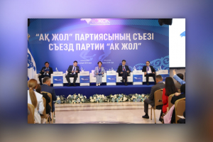 Жаңа Конституция еліміздің одан әрі дамуы үшін берік құқықтық негіз – "Ақ жол"