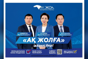 “Ақ жол” партиясына дауыс беру үшін сайлауға барамын! - журналист