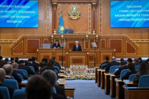 Президент микро және шағын бизнесті тексеруге үш жылға мораторий енгізу мәселесін талқылауды ұсынды