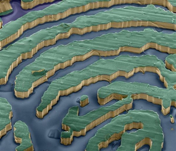Микроскоппен түсірілген 34 таңғаларлық фото