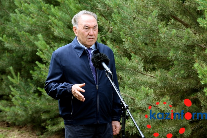 Елбасы Астананы жасылдандыру туралы алдағы міндеттерді атады