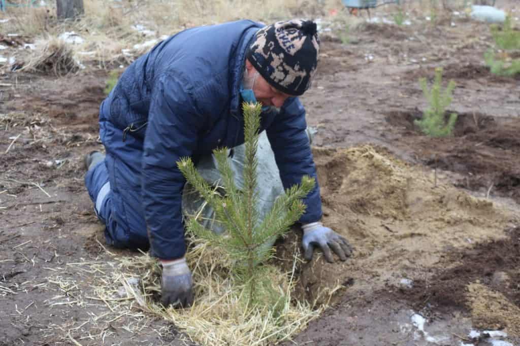 Қазақ Республикасының 100 жылдығына "Ақжолдықтар" 100 түп ағаш отырғызды