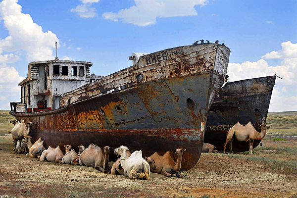 Назарбаев халықаралық қоғамдастықты жоғалып бара жатқан Арал теңізіне көмектесуге шақырды